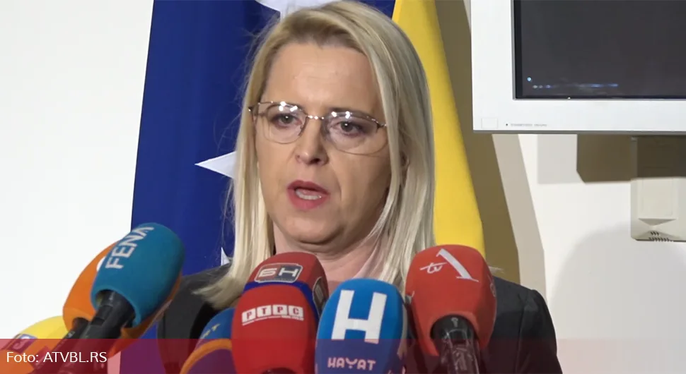 snjezana novakovic bursac.webp